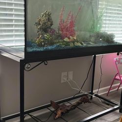 90 Gallon Fish Tank & Stand 