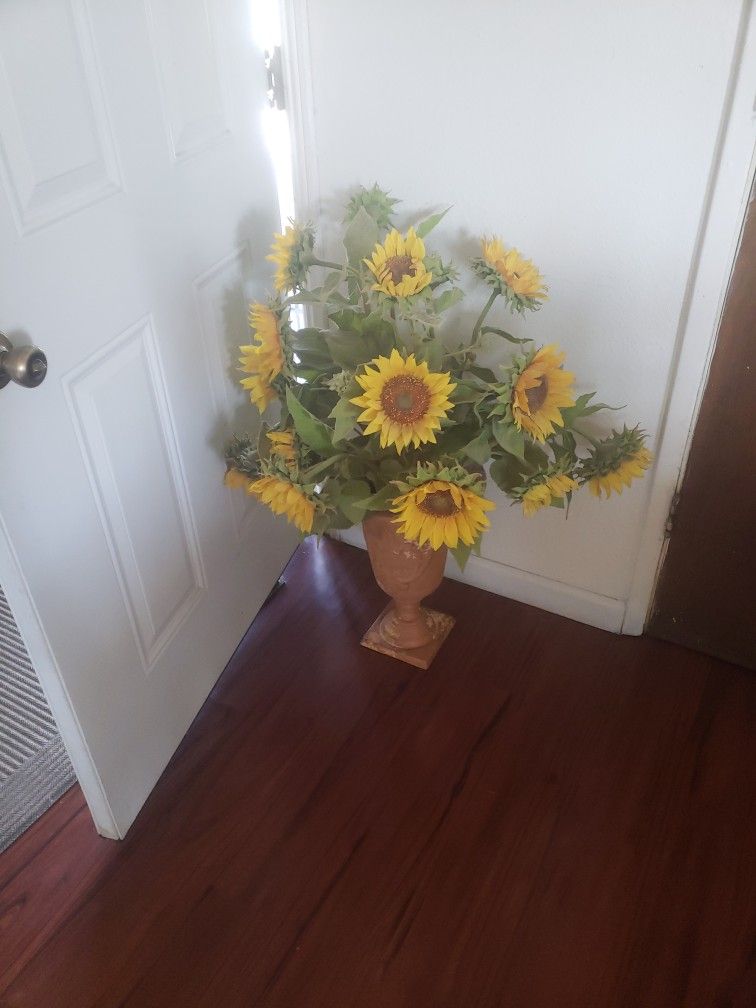 Sunflower