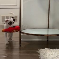 Side Tables (Duo Set)