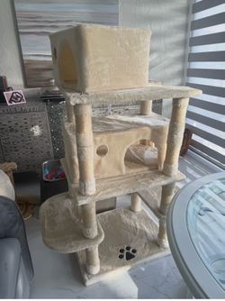 Gim for Cat and supplies
