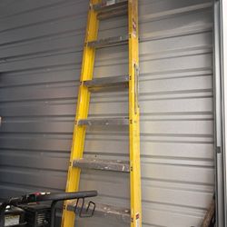 8 Foot Ladder 