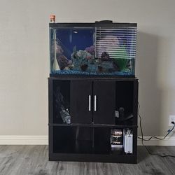 29 Gallon Fish Tank And Stand..extras