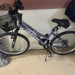 Bike w/ Basket + Kids Seat + Child Trailer