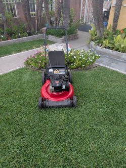 Lawnmower lawn mower