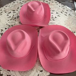 pink western cowgirl or cowboy hat,2 For $5