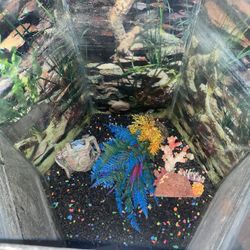 20 Gallon Fish Tank