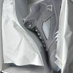 Jordan5 Wolf grey