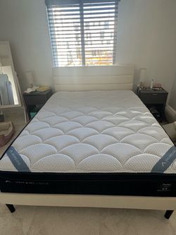 Bed Frame Queen Size