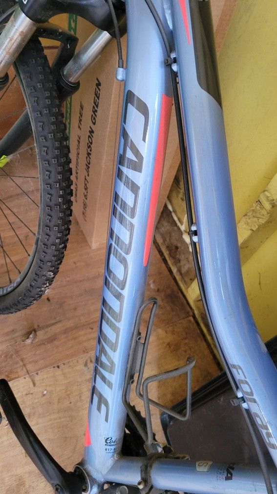 Cannondale Bicycle - Biking Enthusiasts Wanted