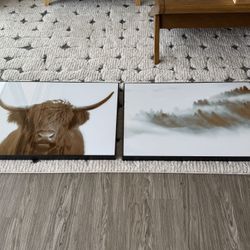 Framed Wall Art photographs 