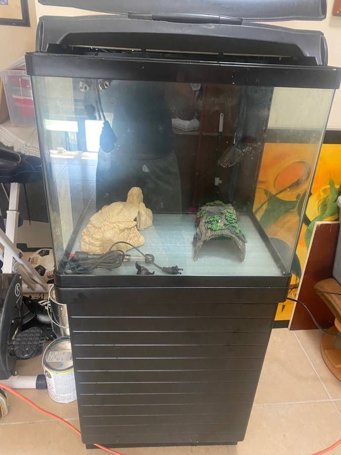 Saltwater Fish Tank