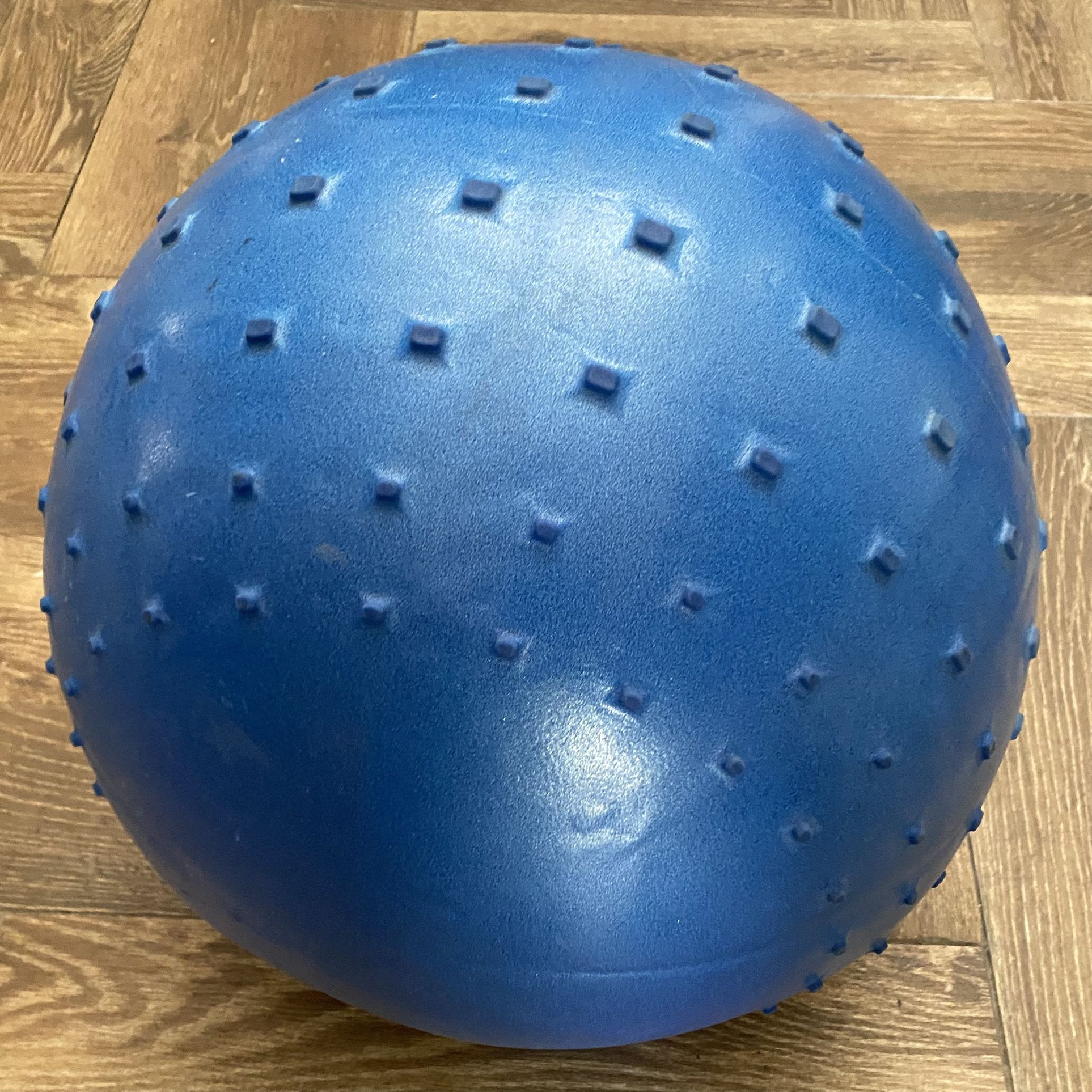Large 16”?  Weighted Therapy  Ball