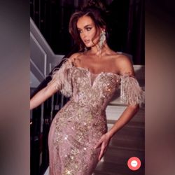 Portia And Scarlet Feather Sleeve Rose Gold Gown Dress 