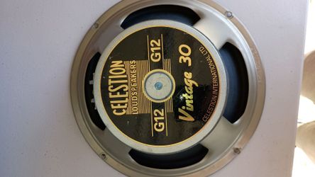 Vintage 30 12-in speaker