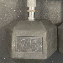 Dumbbell Rubber Hex 75 Lb