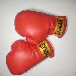 Everlast Boxing Gloves Small Size 7 Oz 