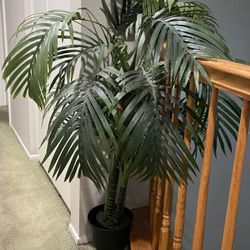 Beautiful Fake Plant Like 3.5ft Tall