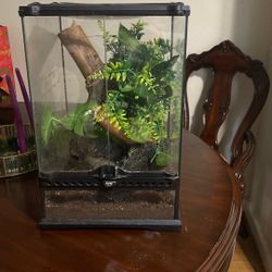 Geko Enclosure 