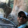 Vipul