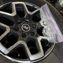 Bronco outer banks Wheels/tires (5)