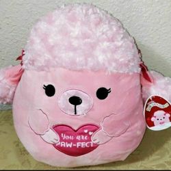 2 SQUISHMALLOWS AVAILABLE, BRAND NEW. (PICK UP IN MODESTO.)