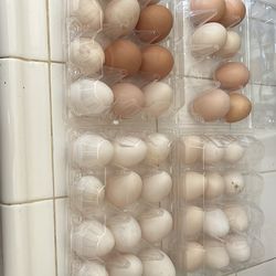 Fresh eggs unwash