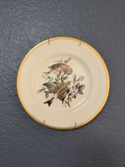 Vintage Royal Worcester Boehm "Birds of Britain" Porcelain Plates – Set of 6o