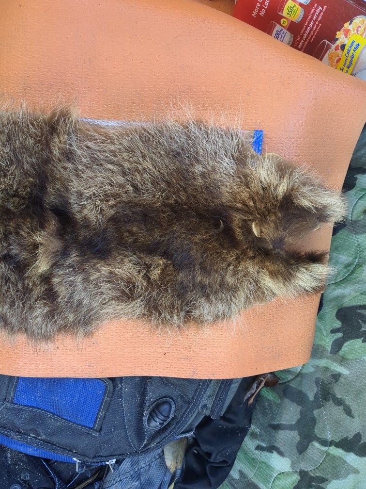 Genuine Fox Pelt