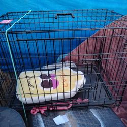 Dog Ketal Like Brand New