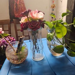 Moving Out Must Go: Flower vase, 3 Vases for $5 OBO