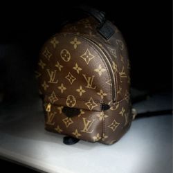 AUTHENTIC LOUIS VUITTON PALM SPRINGS MINI