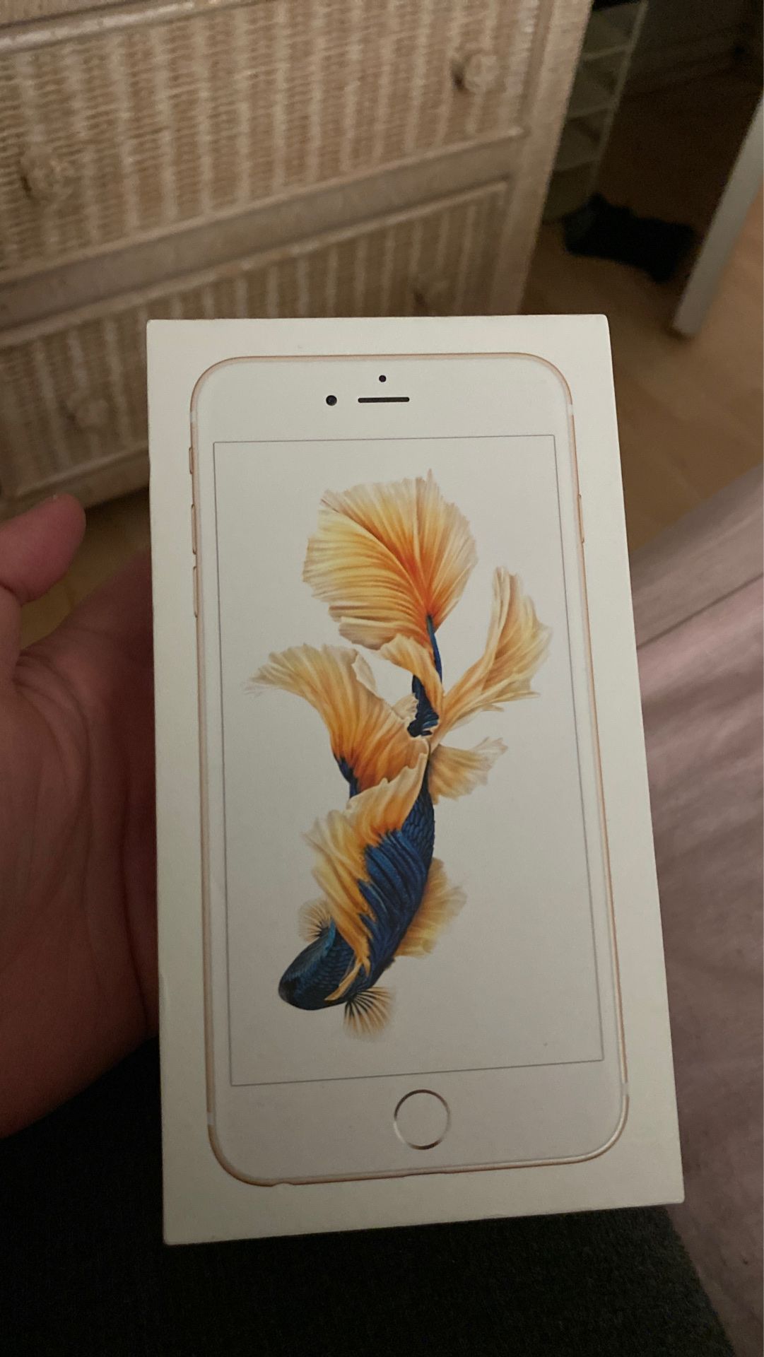 iPhone 6S plus box