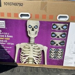 12 Ft Skeleton 
