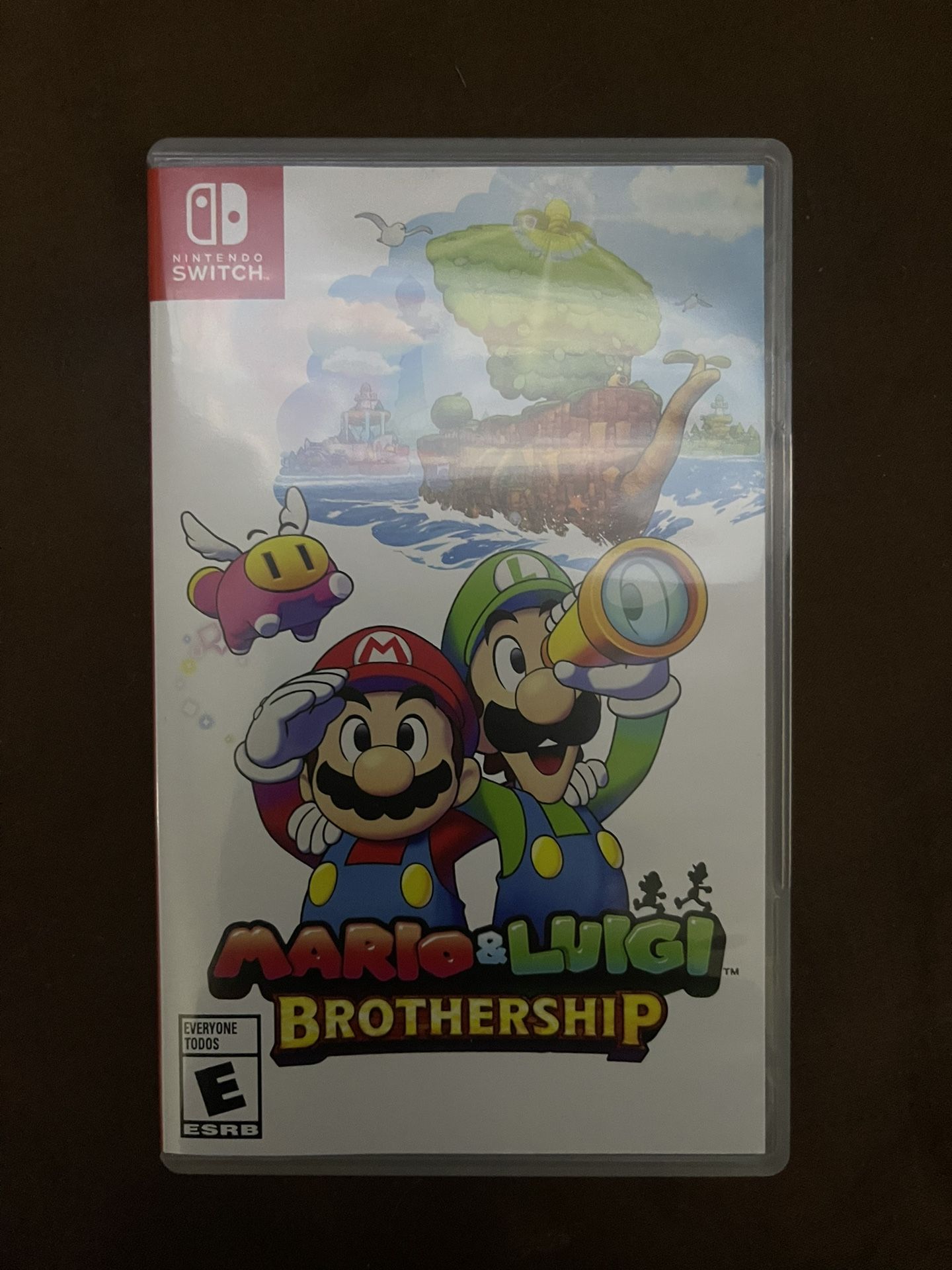 Mario & Luigi Brothership