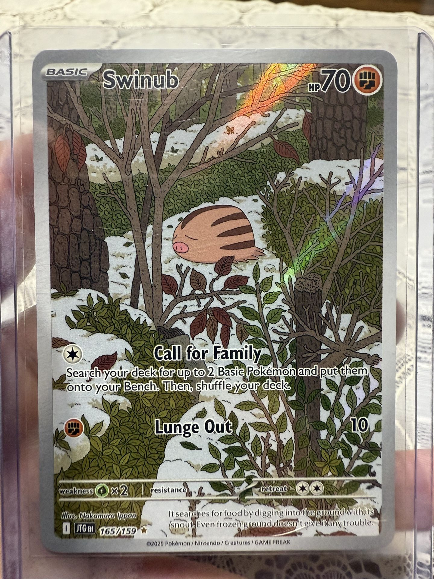 Swinub 165 Journey Together