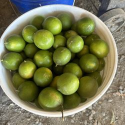 Limones con y sin semilla
