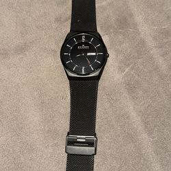 Skagen watch