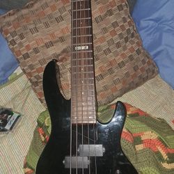 Esp Ltd Bass Guitar B55 -5