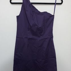 Purple Dress NEW