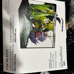 Small Fish Tank 