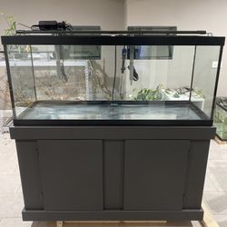 75 Gallon Aquarium+Stand+Supplies