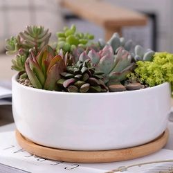 6.5 Inches Round White Ceramic Pot Container With Tray (Plants Not Included)
