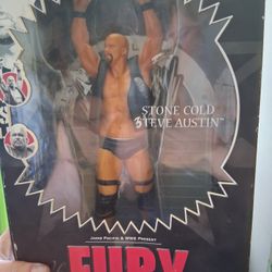 WWE Collector Figurine