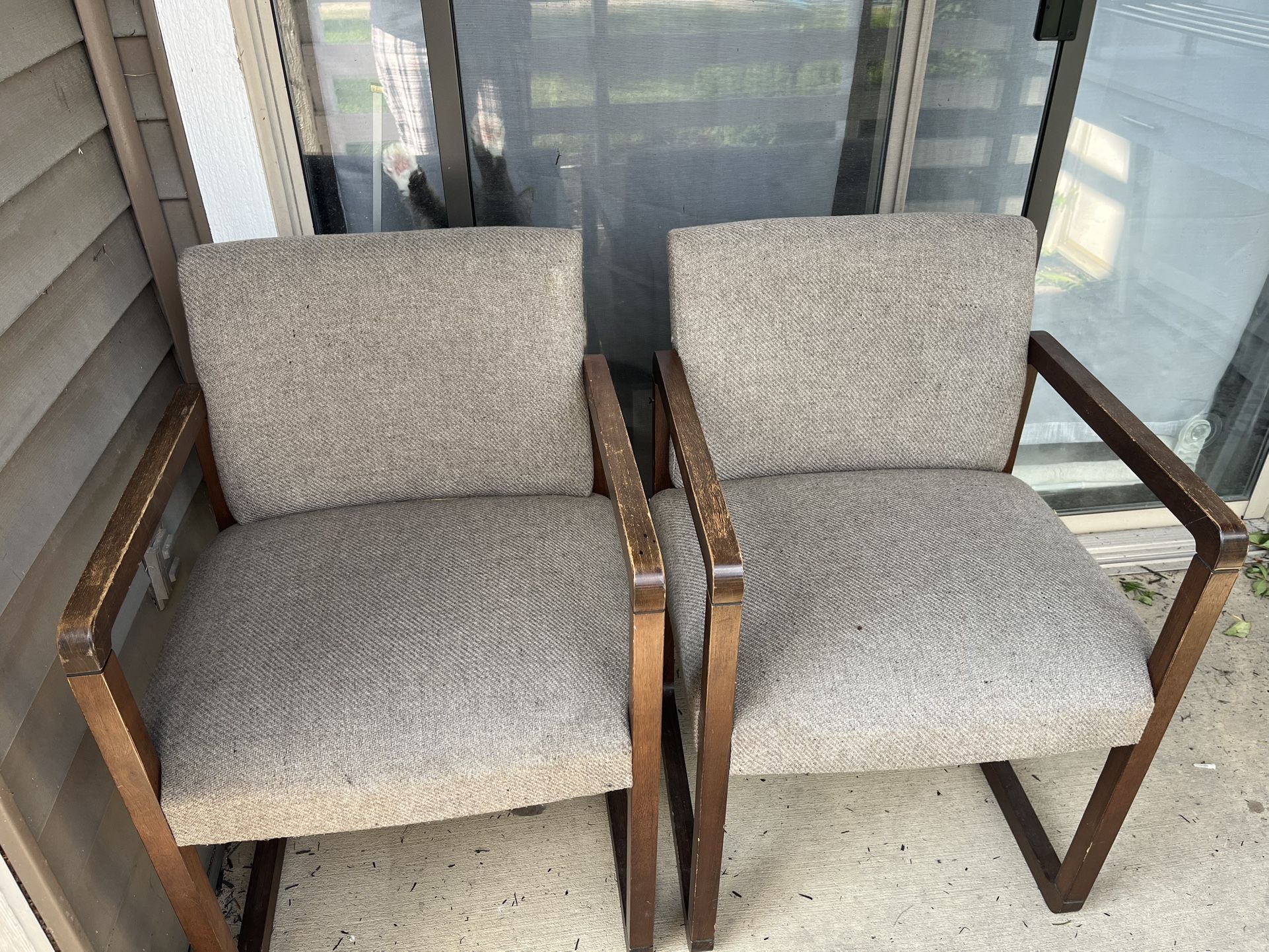 Dining Chairs