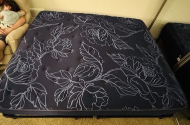 Electric California King Bed