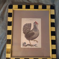 Rare, One Of A Kind, Soicher-Marin Fine Art Print - Domestic Gamecock