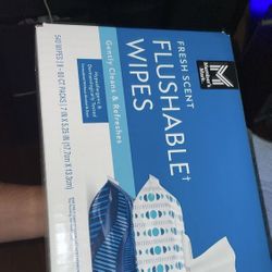Flushable Wipes (used Just 1)