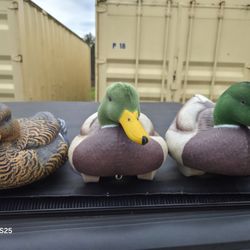 Heyday Mallard Decoys 