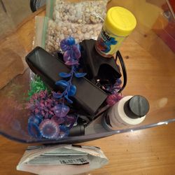 Betta fish Full Set-up