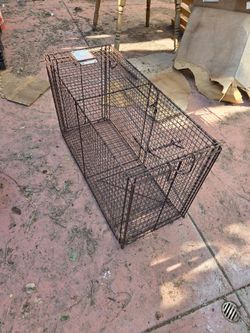 Large Dog Trap New out of Box